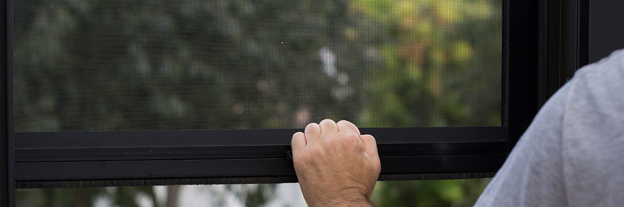 fenêtre avec moustiquaire enroulable