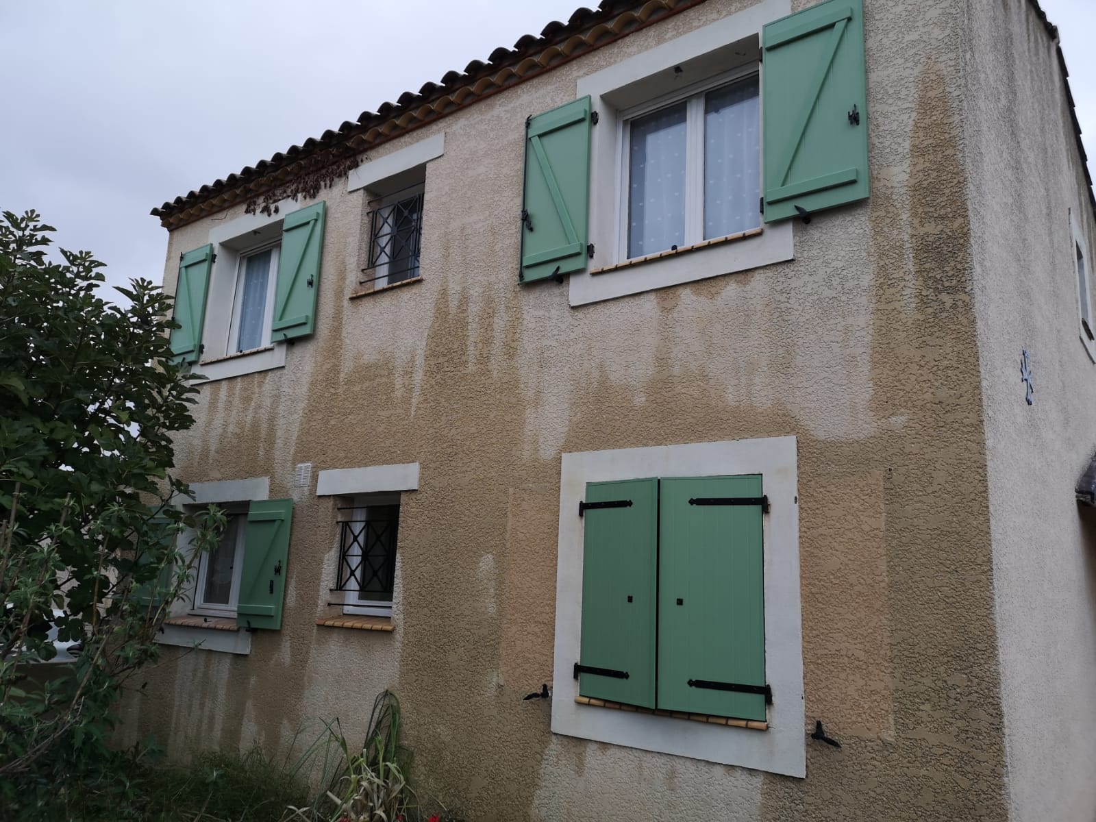 volets battants verts