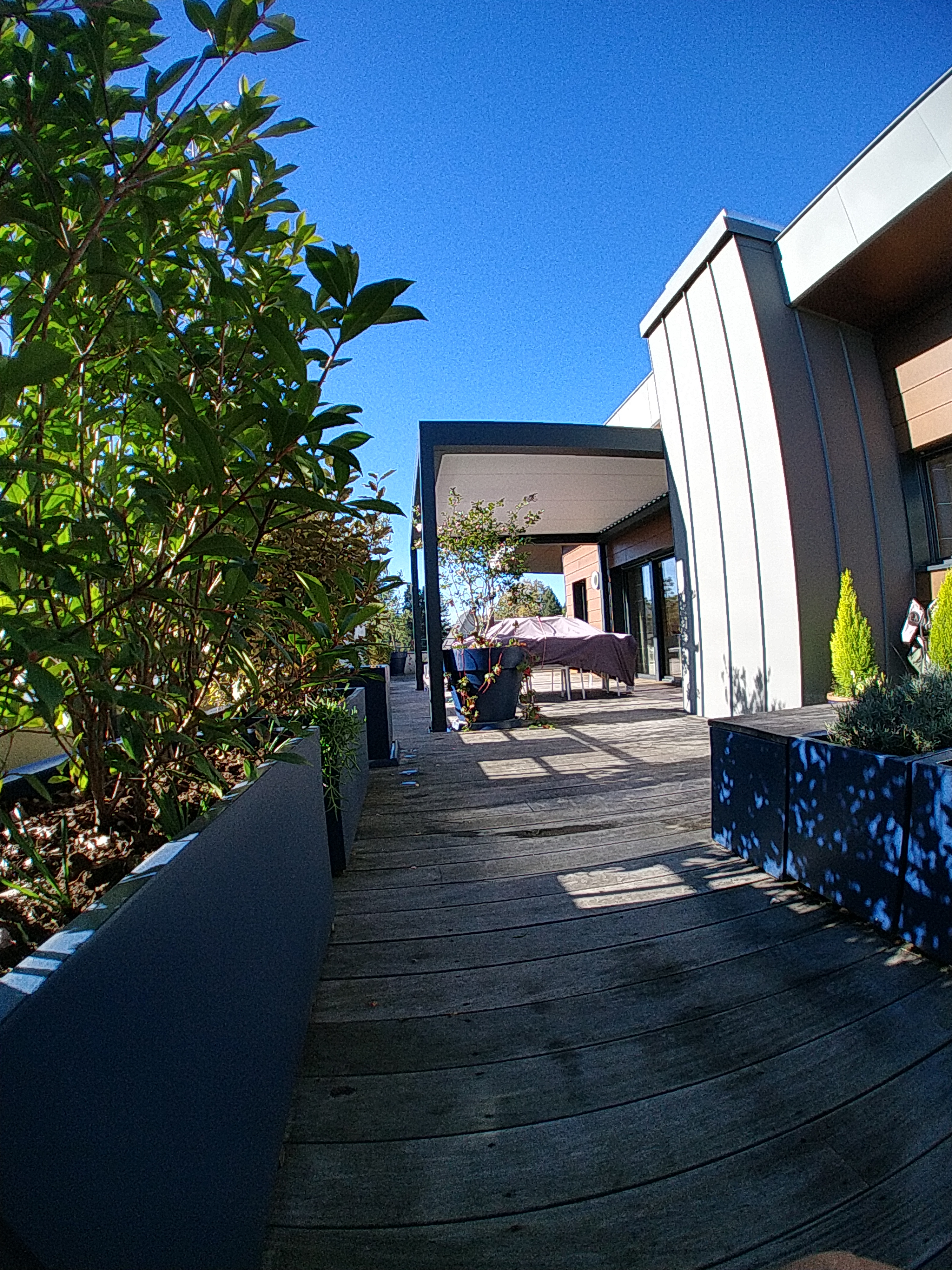 pergola bioclimatique lames blanches